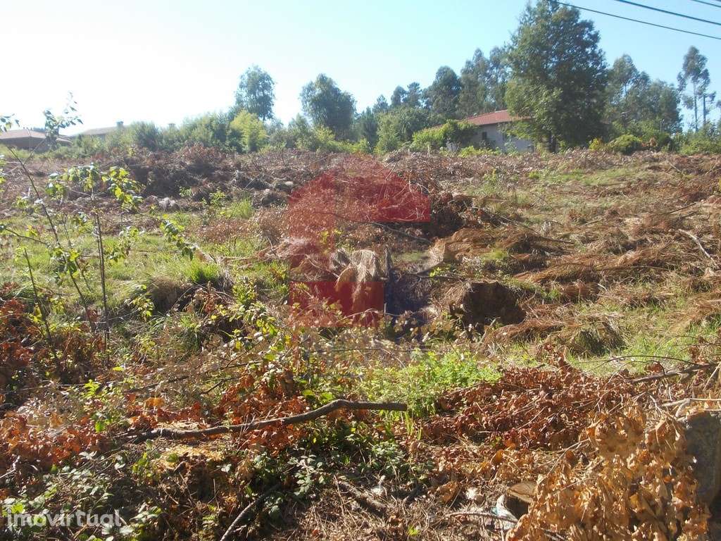 Terreno para construção, Oleiros - Grande imagem: 3/7