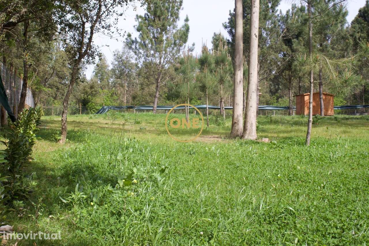 Terreno São Félix da Marinha – 4.100 m2 - Grande imagem: 4/9