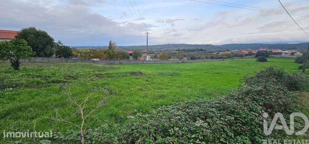 Terreno para construção em São Miguel, Santa Eufémia e Rabaçal - Grande imagem: 2/26