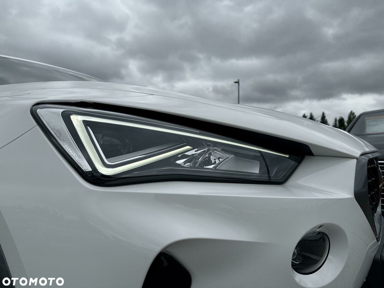 Cupra Formentor - 30