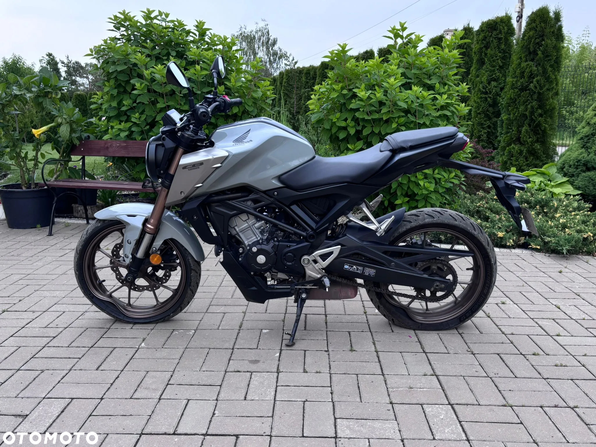 Honda CBF - 2
