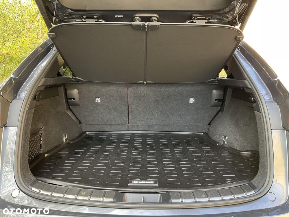 Lexus NX - 28