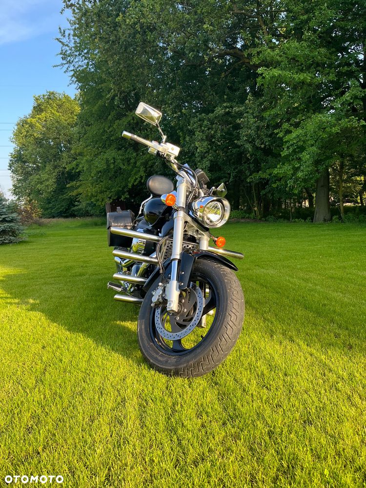 Suzuki Intruder - 10