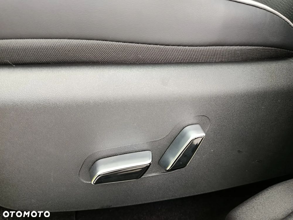 BYD Dolphin Surf - 15