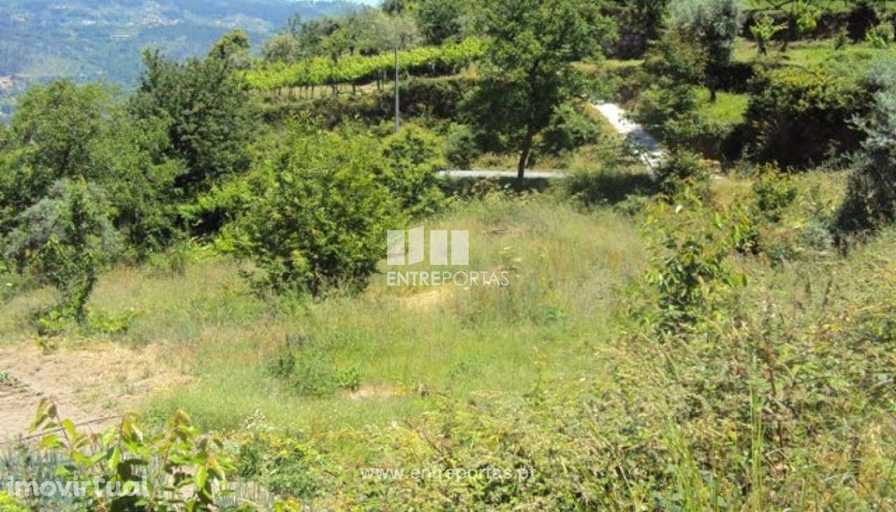 Venda Terreno,Tarouquela, Cinfães - Grande imagem: 2/30