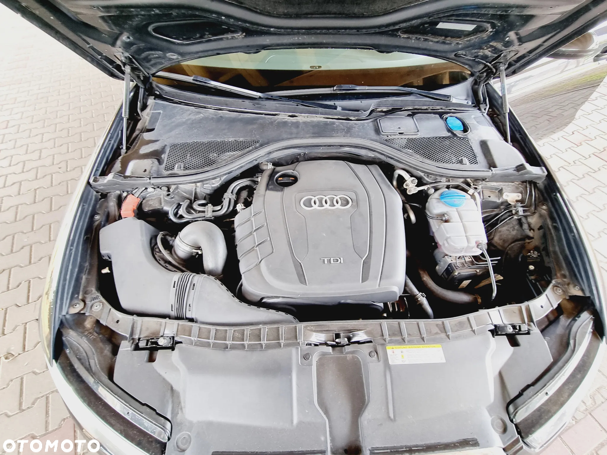 Audi A6 2.0 TDI Prime Line Multitronic - 19
