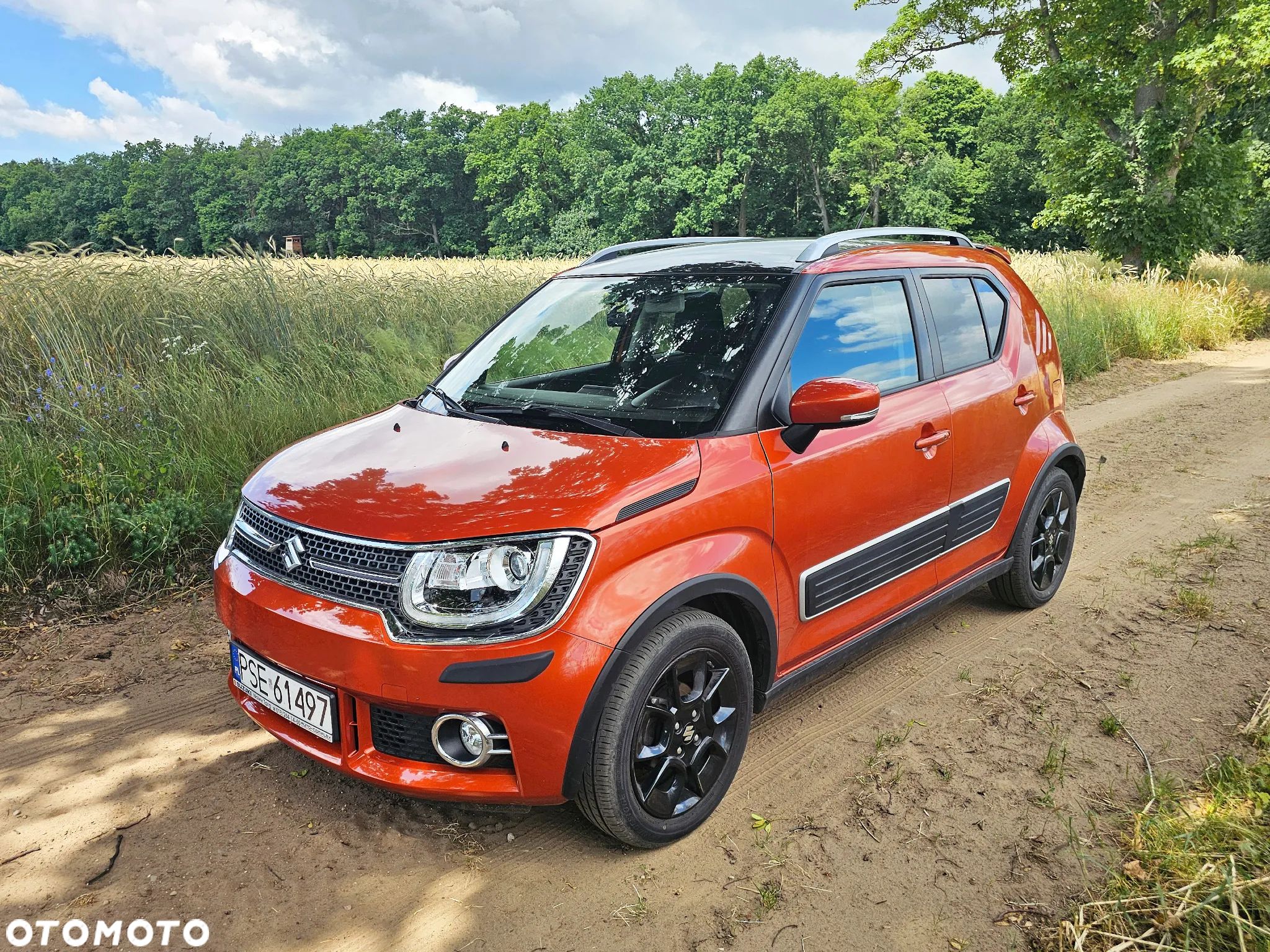 Suzuki Ignis 1.2 Elegance 4WD - 1