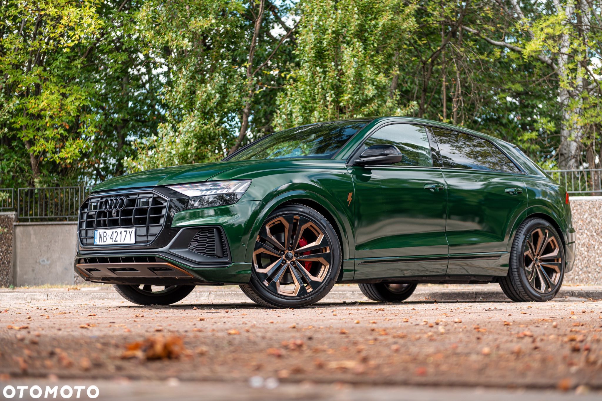 Audi Q8 - 1