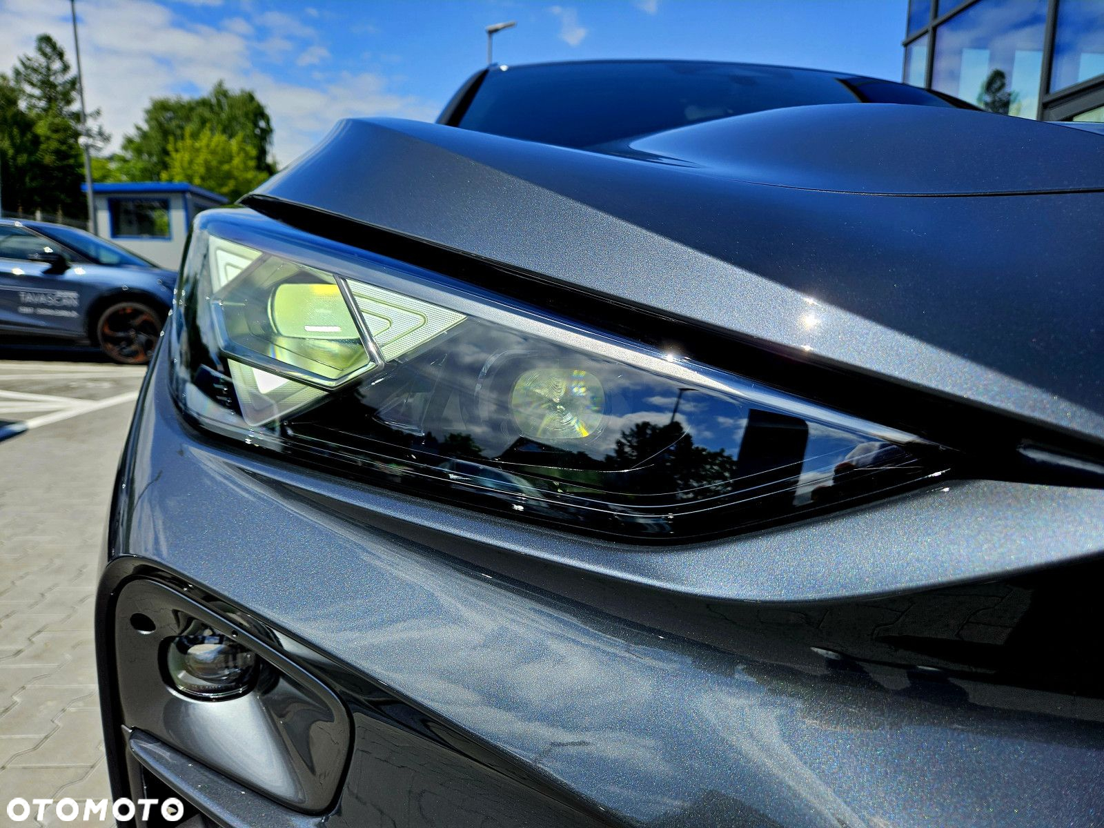Cupra Terramar - 13
