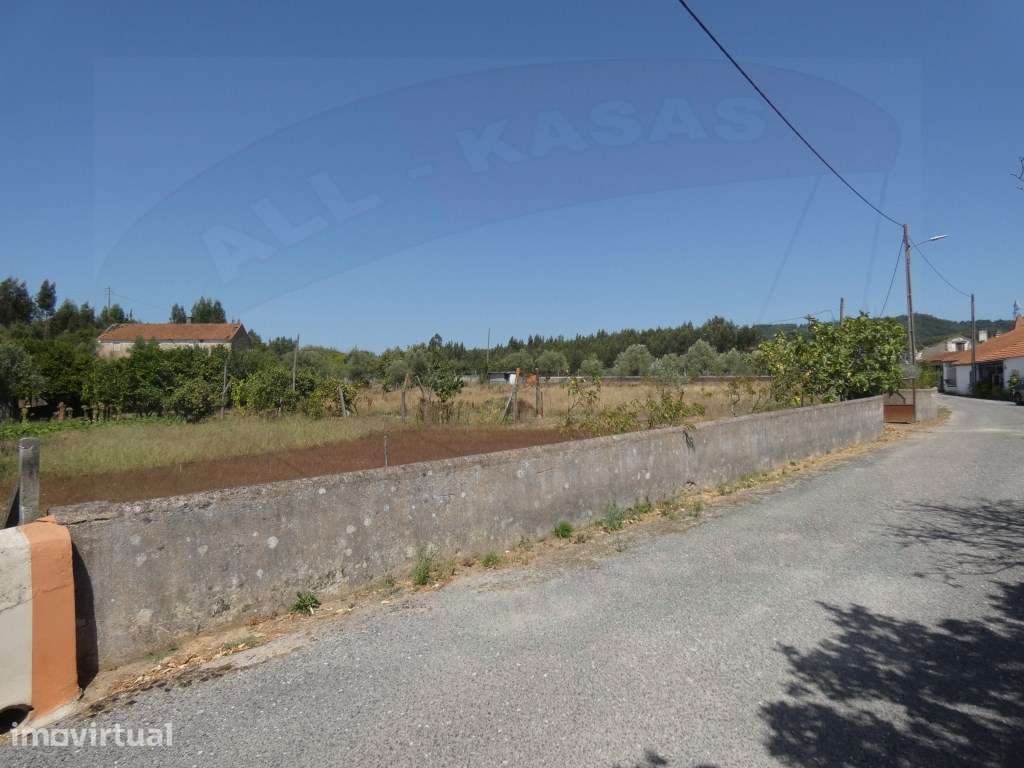 Terreno Rústico com 3000m2 em Alviobeira, Tomar - Grande imagem: 4/9