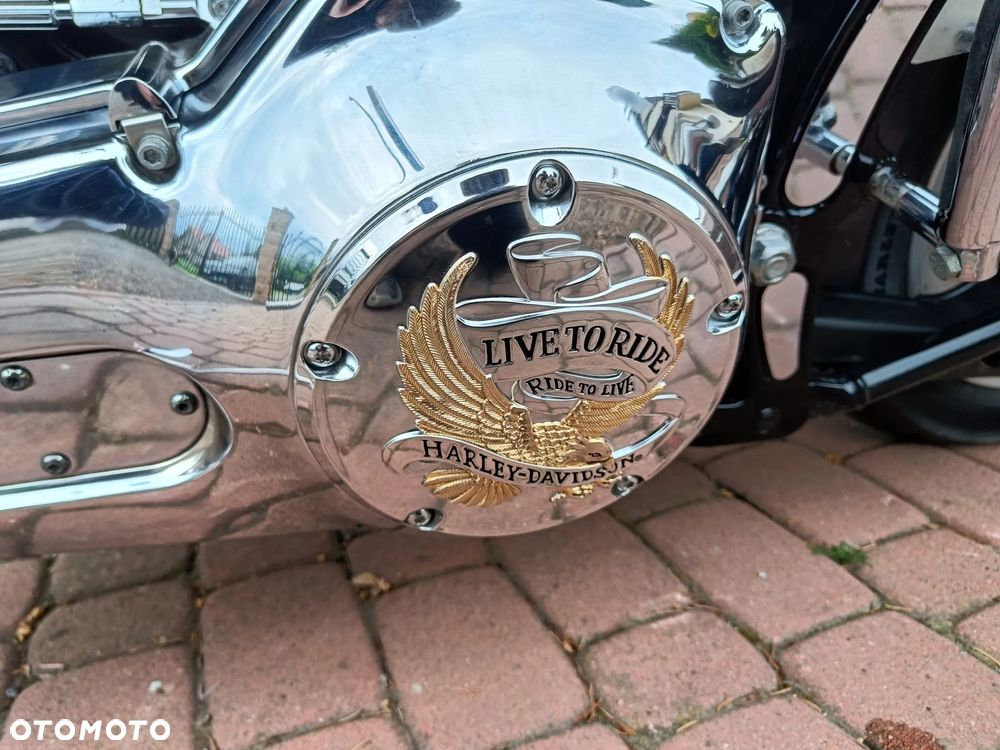 Harley-Davidson Softail - 6