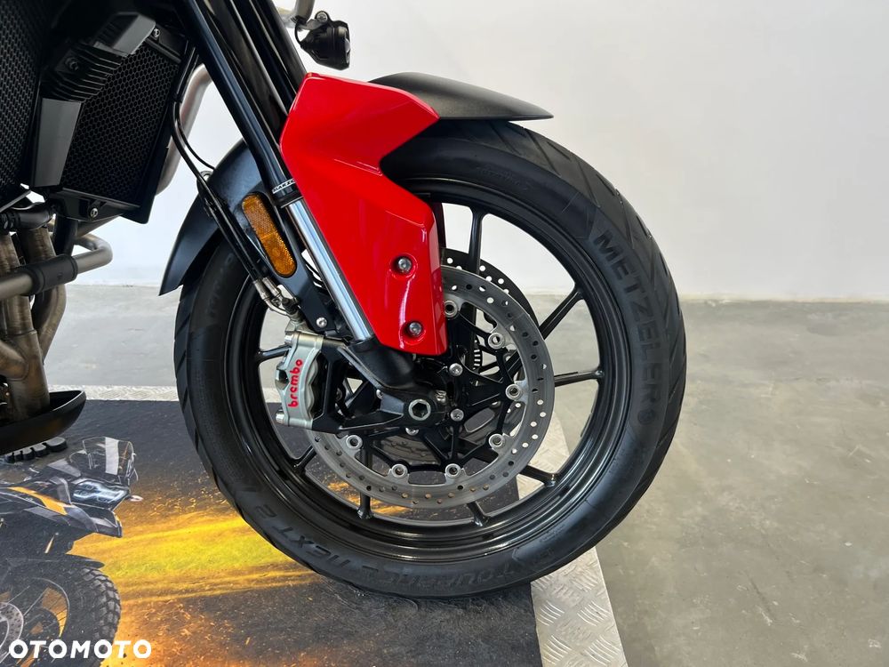 Triumph Tiger - 20