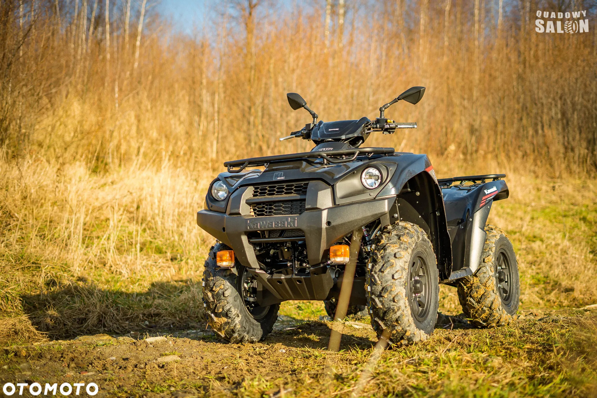 Kawasaki Brute Force - 10
