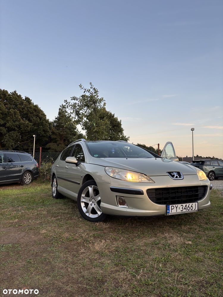 Peugeot 407 - 1