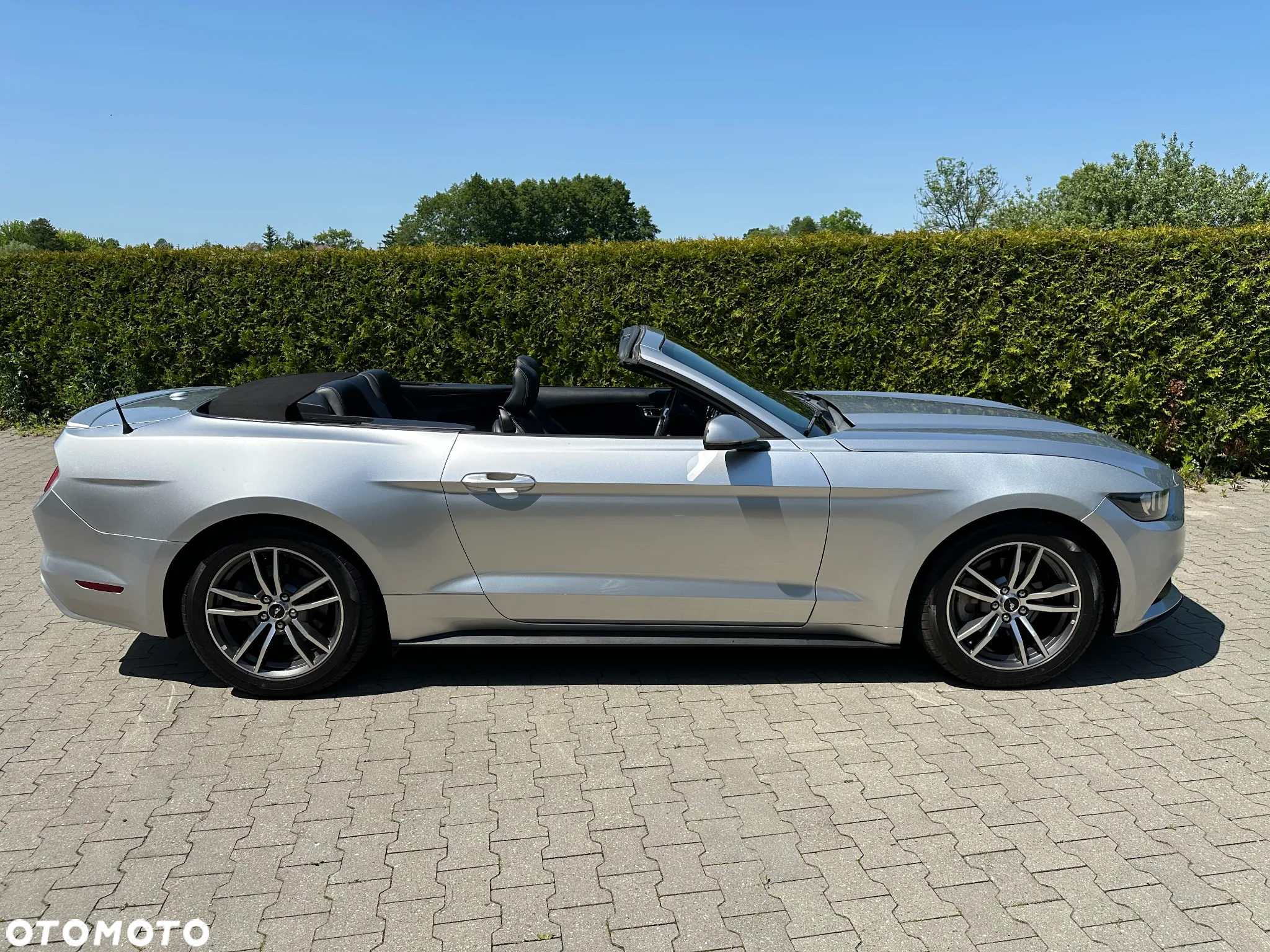 Ford Mustang Cabrio 2.3 Eco Boost - 7