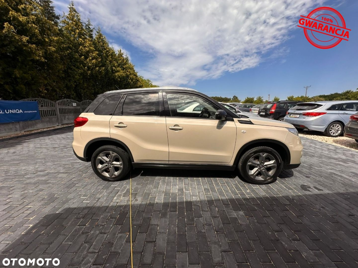 Suzuki Vitara - 9