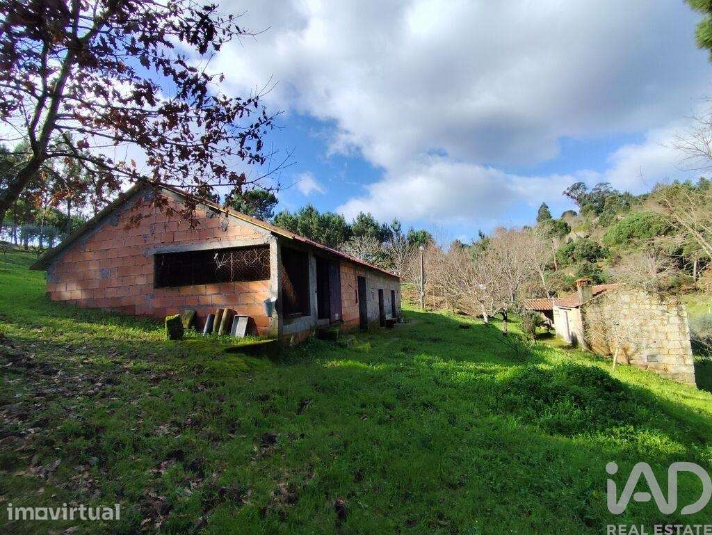 Quinta T4 em Midões de 171,39 m2 - Grande imagem: 5/40