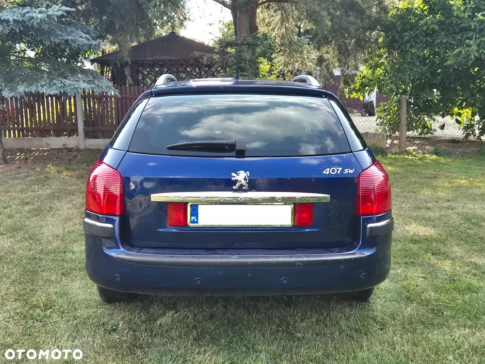 Peugeot 407 - 8