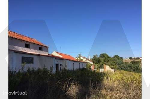 Excelente propriedade com 47,5 ha a 15 minutos de Alenquer - Grande imagem: 2/15