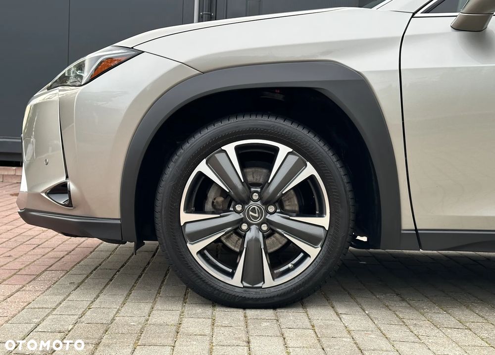 Lexus UX 250h GPF Business 2WD - 17