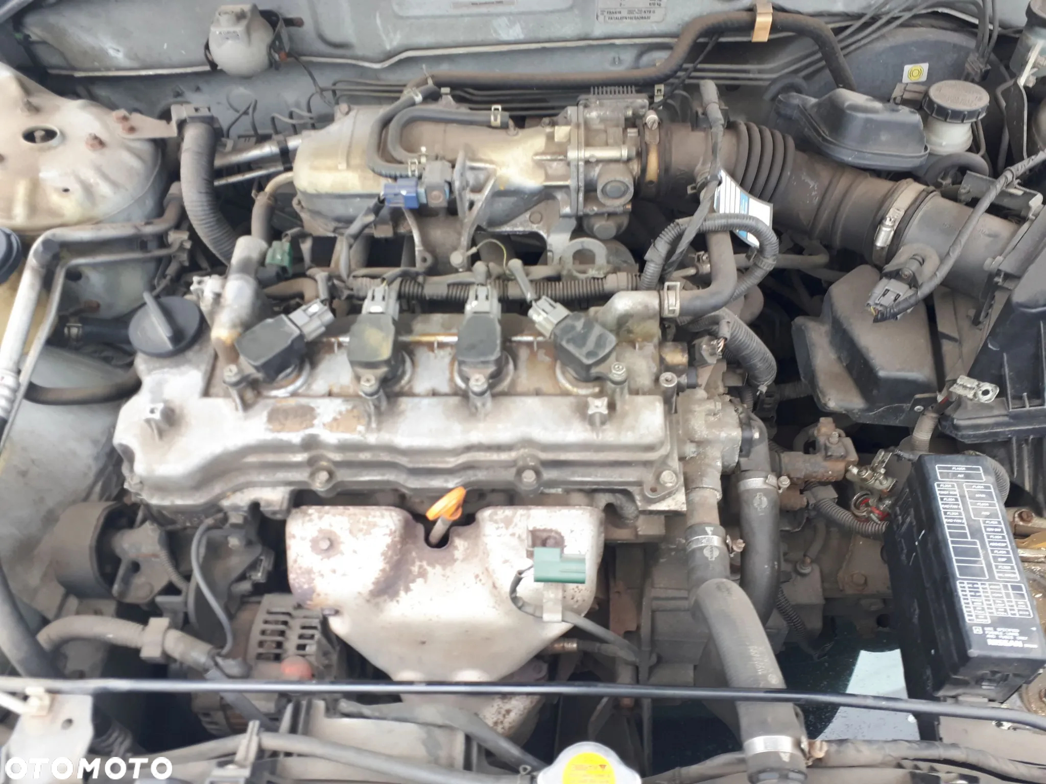 NISSAN ALMERA N16 LIFT 02-06 KLAPKA WLEWU PALIWA KY0 - 21