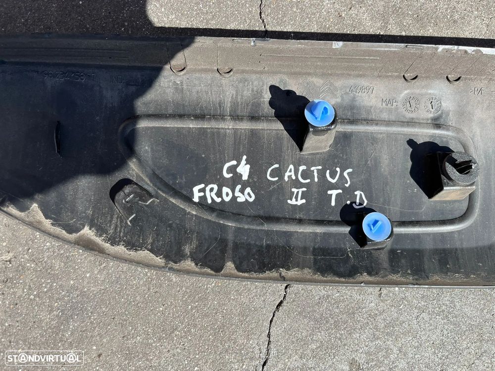 Citroen C4 Cactus II - FRISO PORTA - FR050 - 12