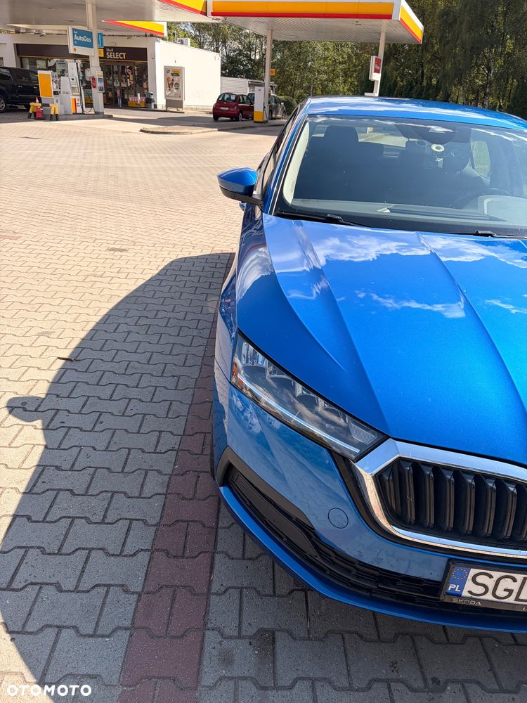 Skoda Octavia - 5