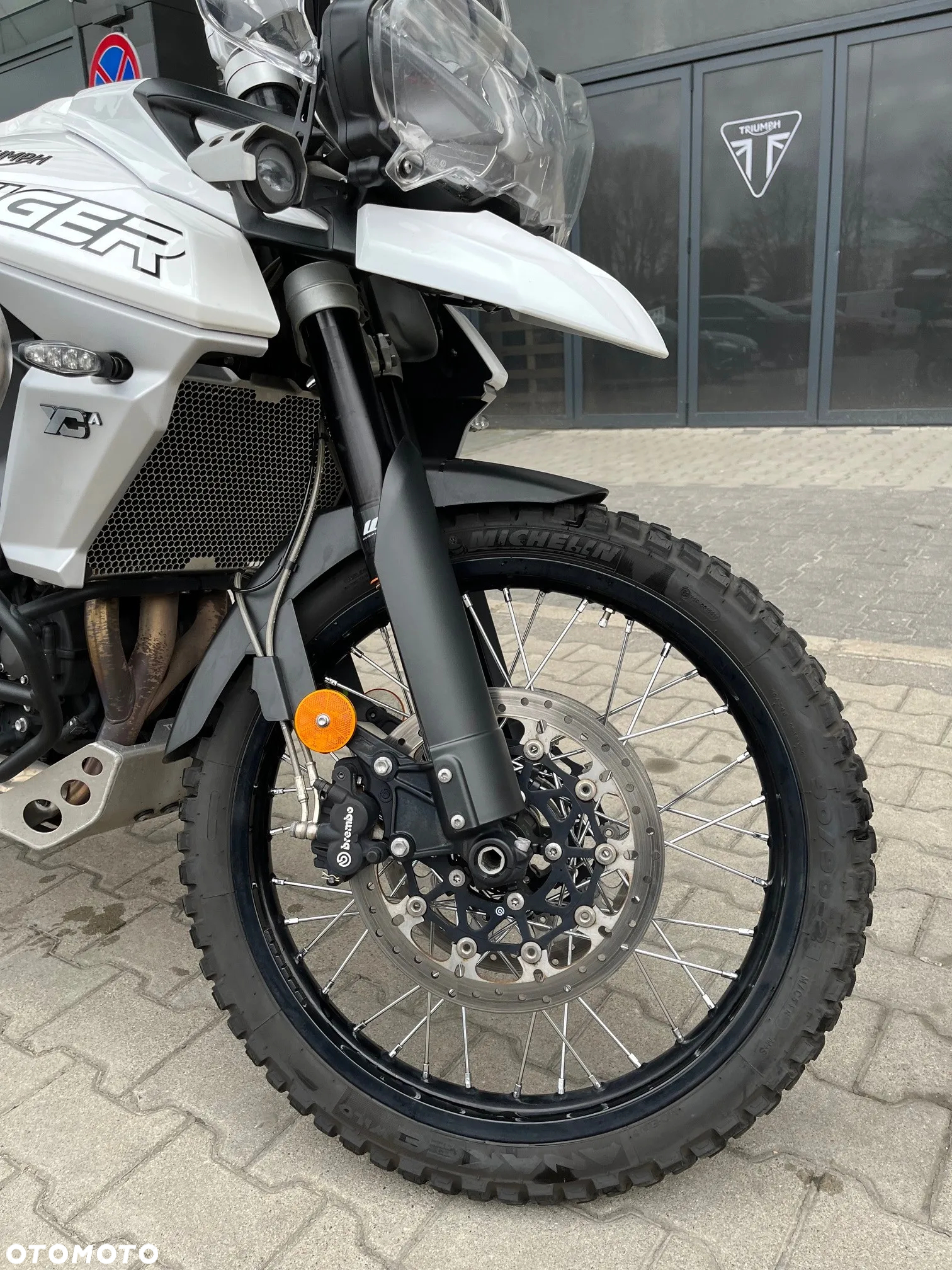 Triumph Tiger - 5