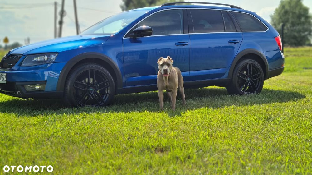 Skoda Octavia Scout 2.0 TDI 4x4 - 6
