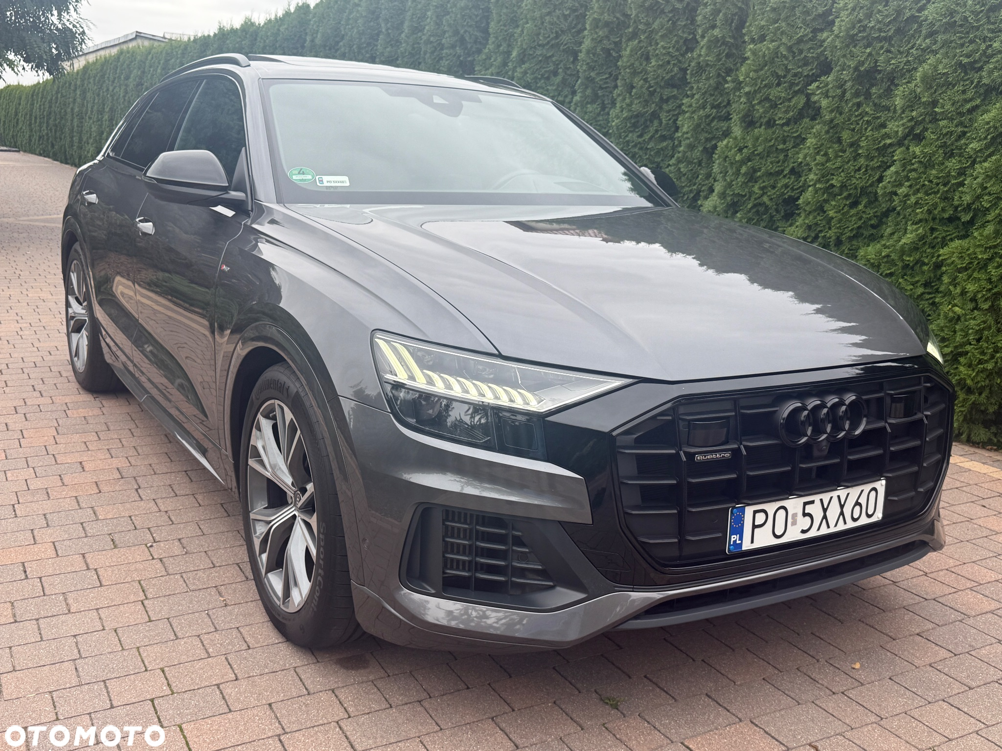 Audi Q8 - 12