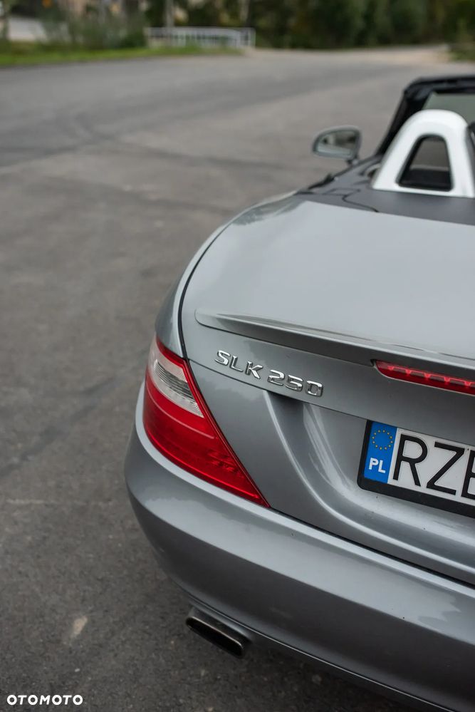 Mercedes-Benz SLK 250 (BlueEFFICIENCY) 7G-TRONIC - 35