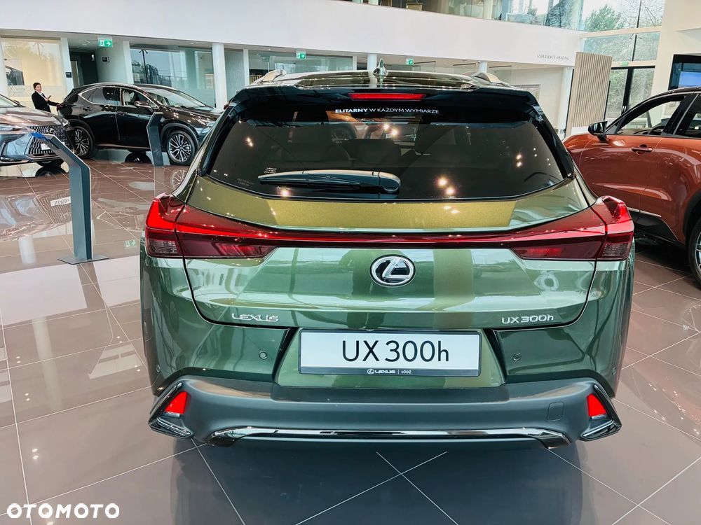 Lexus UX 300h F Sport Design - 5