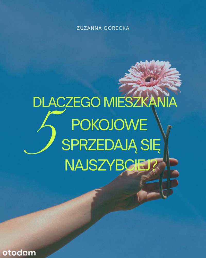 5-pokojowa perełka, tętniąca życiem okolica