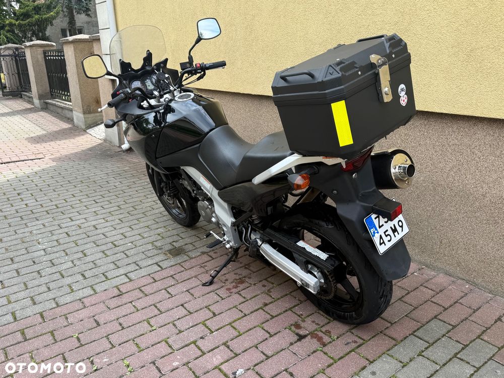 Suzuki DL - 8