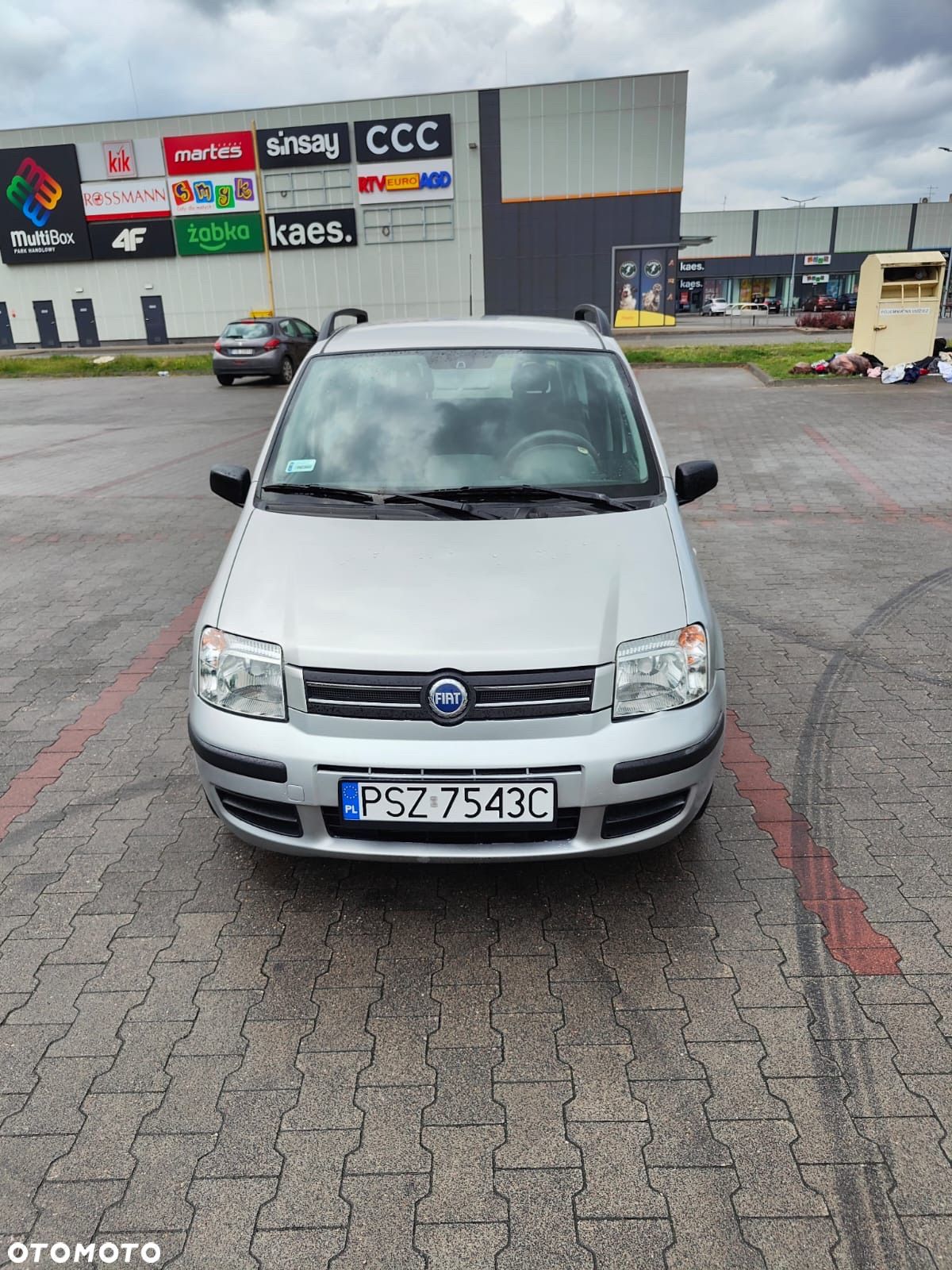 Fiat Panda 1.2 Dynamic - 1