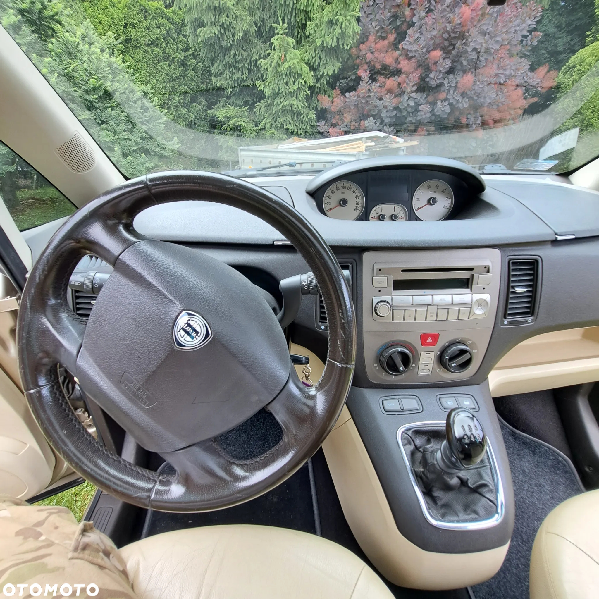 Lancia Musa - 10