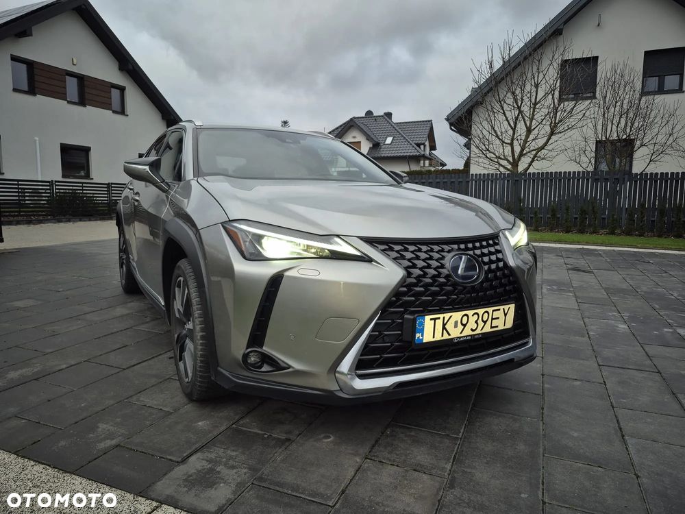 Lexus UX 250h GPF Business Edition 2WD - 2