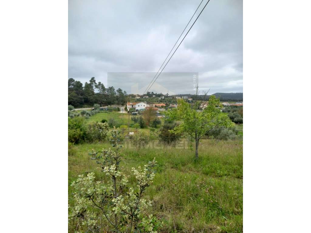 Terreno - Zambujal - Ourém - Grande imagem: 2/6