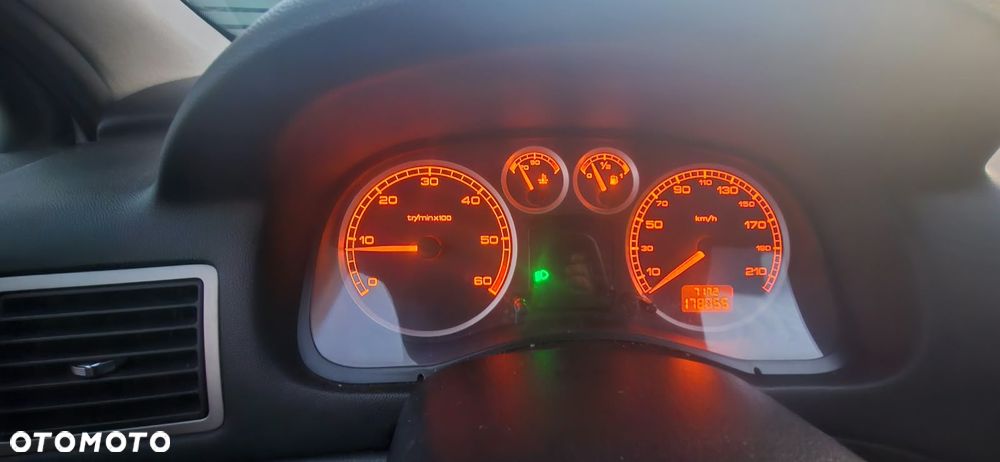 Peugeot 307 - 12