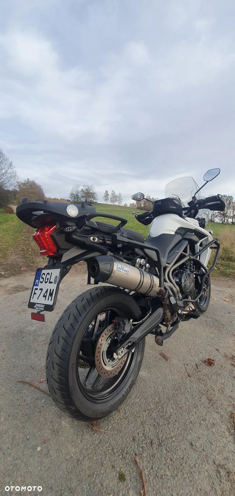 Triumph Tiger - 4