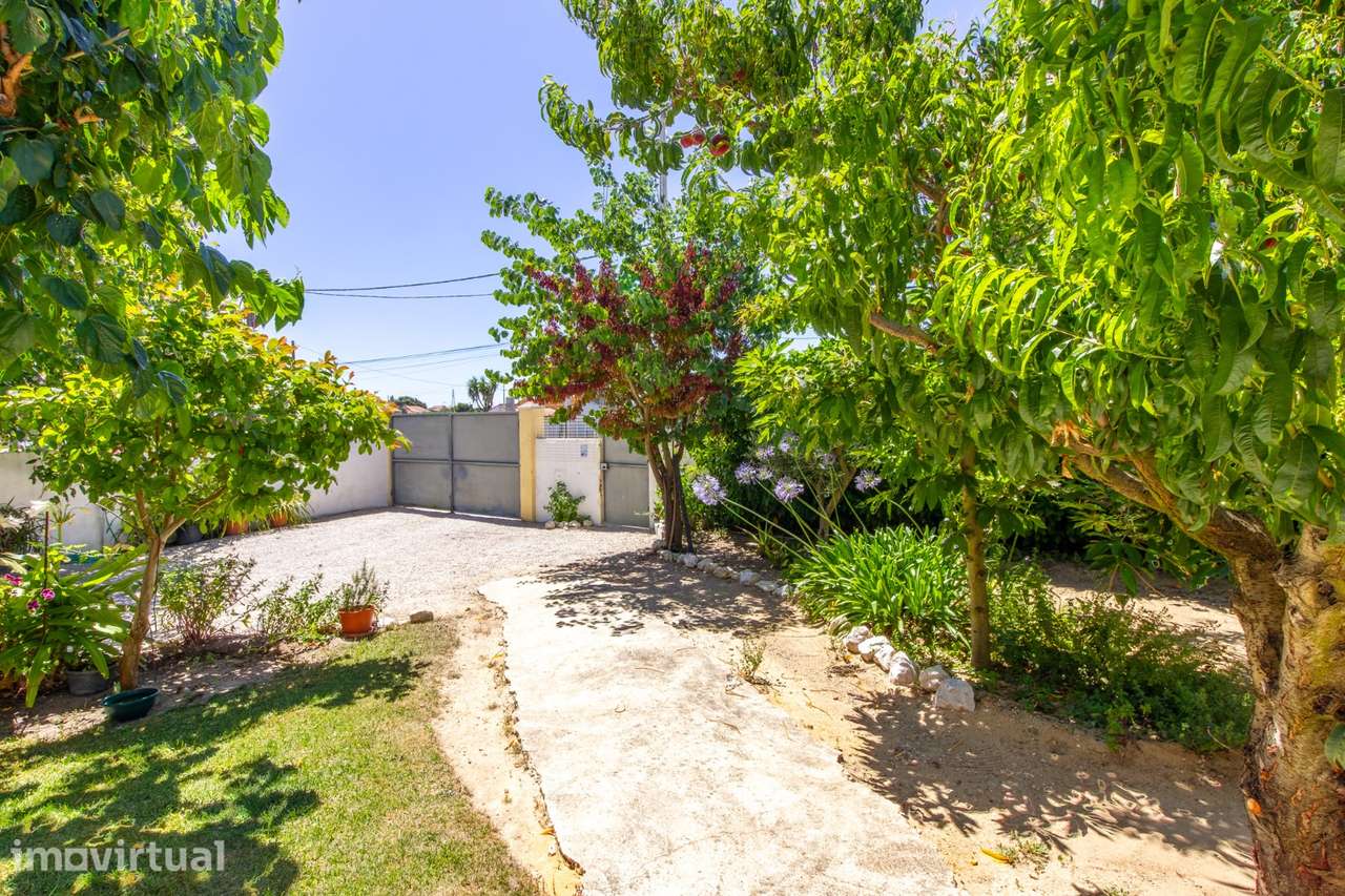 Moradia T2 com Garagem para 4 Viaturas e Vinha Certificada | Palhota - Grande imagem: 2/25
