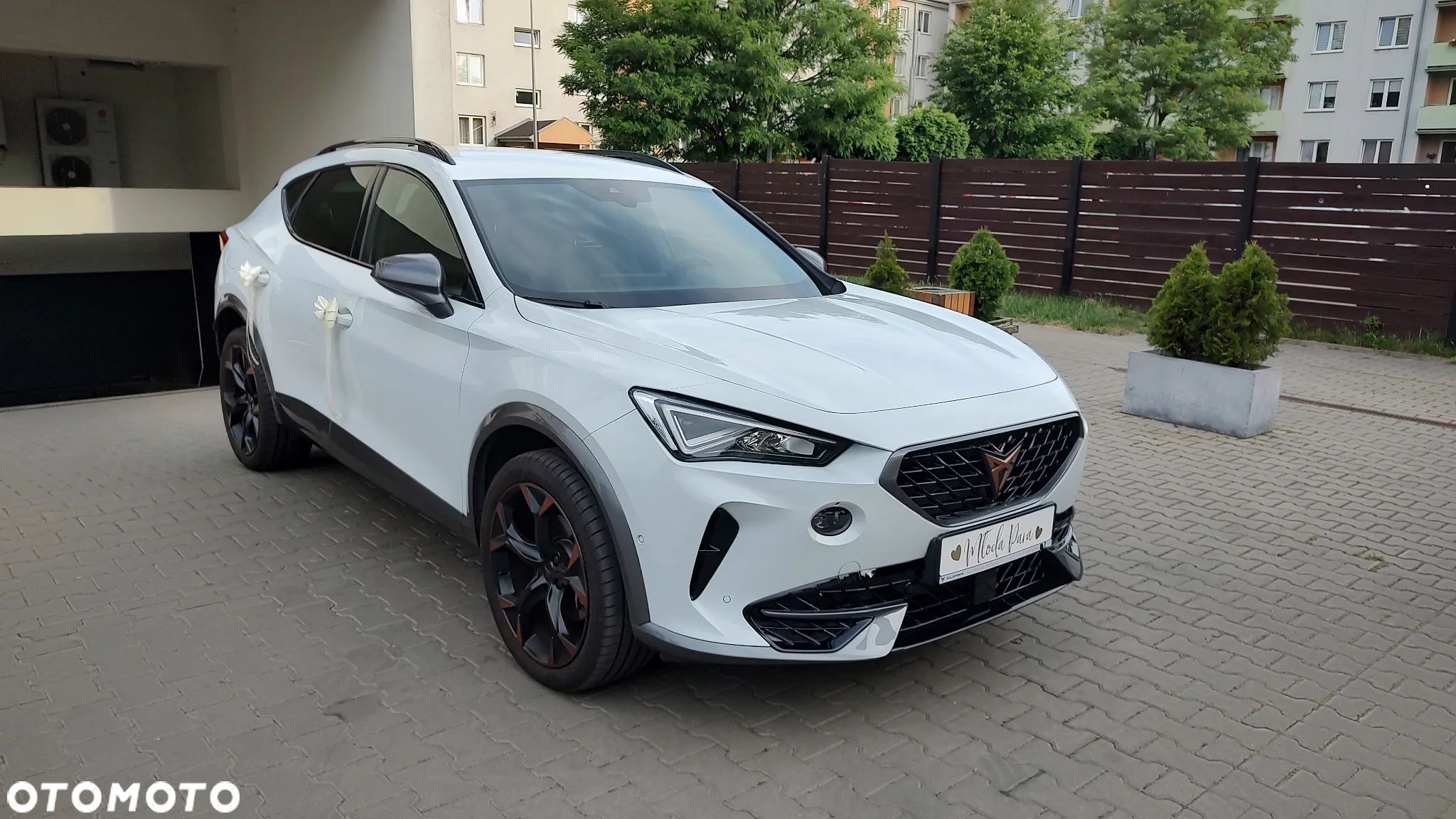 Cupra Formentor 1.5 TSI - 1