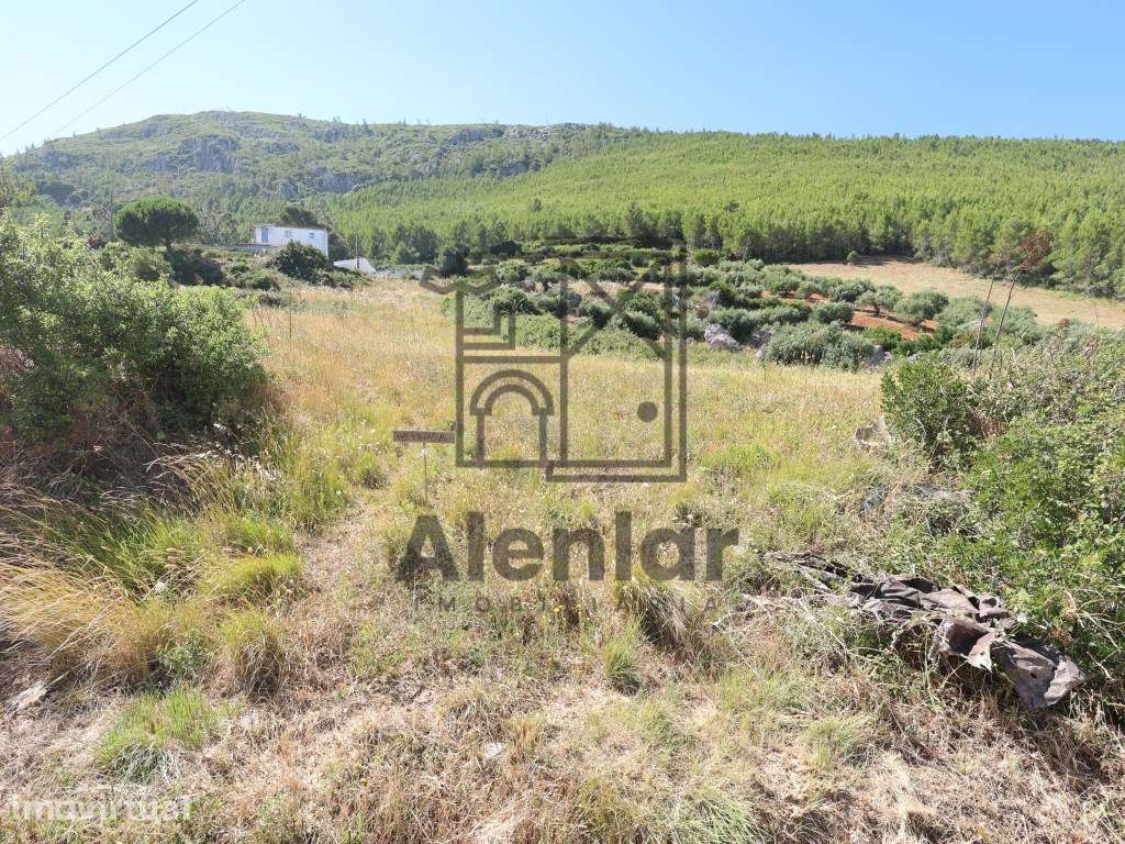 Terreno rústico com 3.440 m² junto à Serra de Montejunto - Natureza... - Grande imagem: 5/10