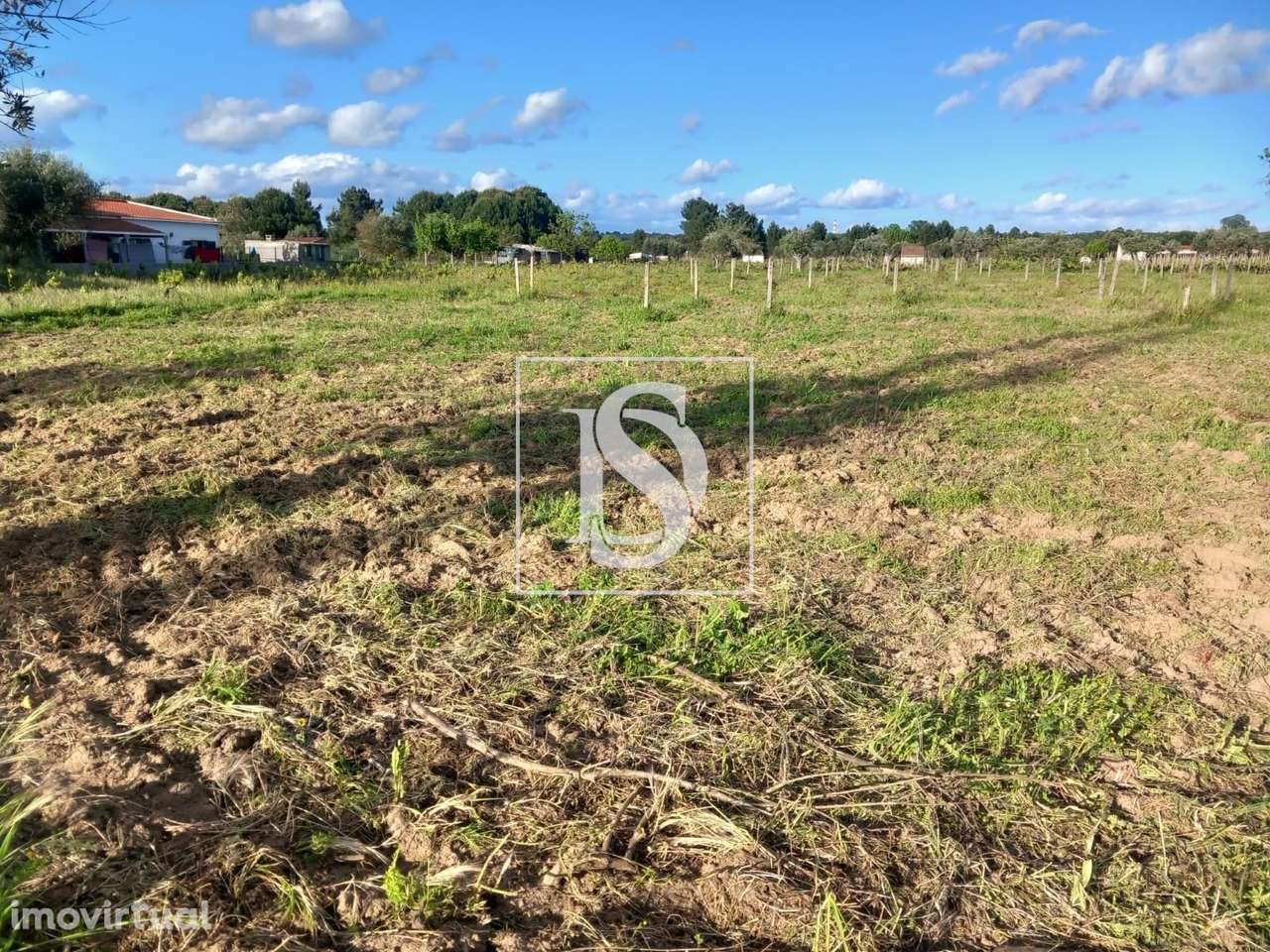 Terreno Para Construção - Abrantes - Rossio - Grande imagem: 3/3