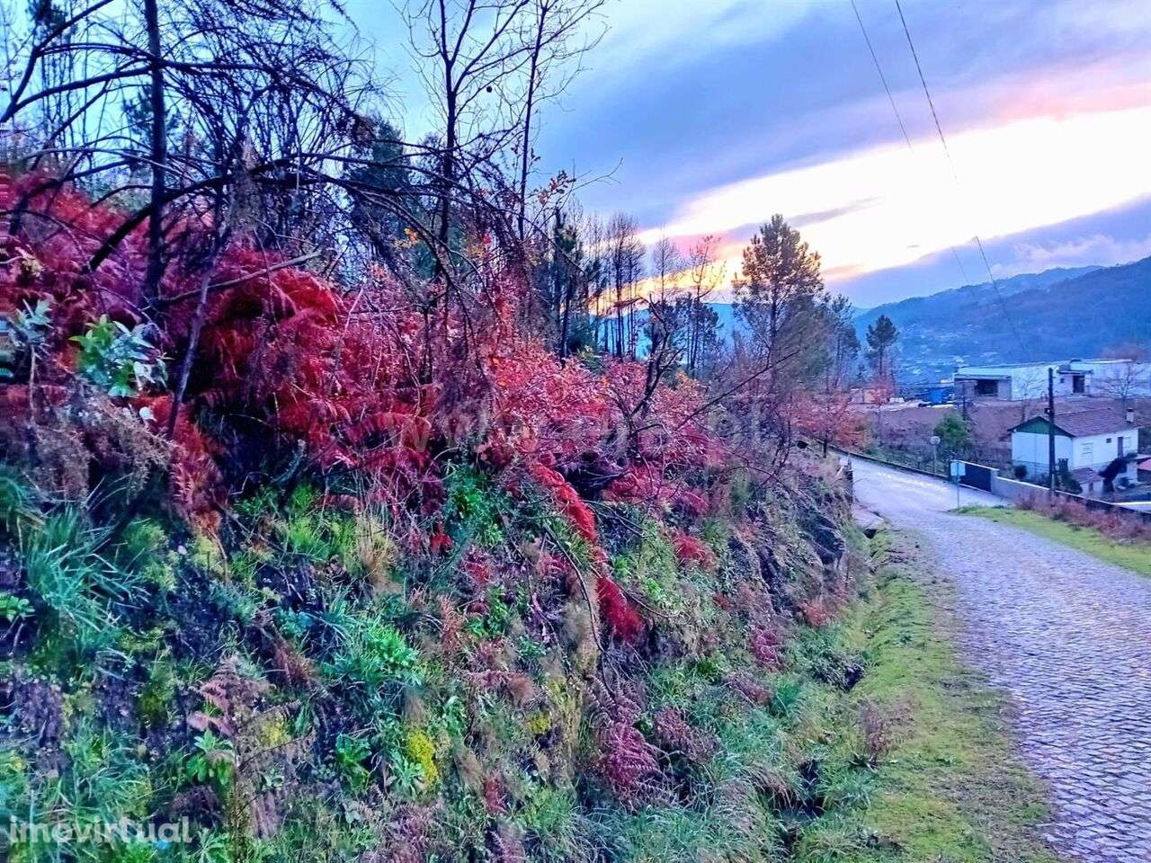 Terreno Rústico / Baião, Baião (Santa Leocádia) e Mesquinhata - Grande imagem: 3/6