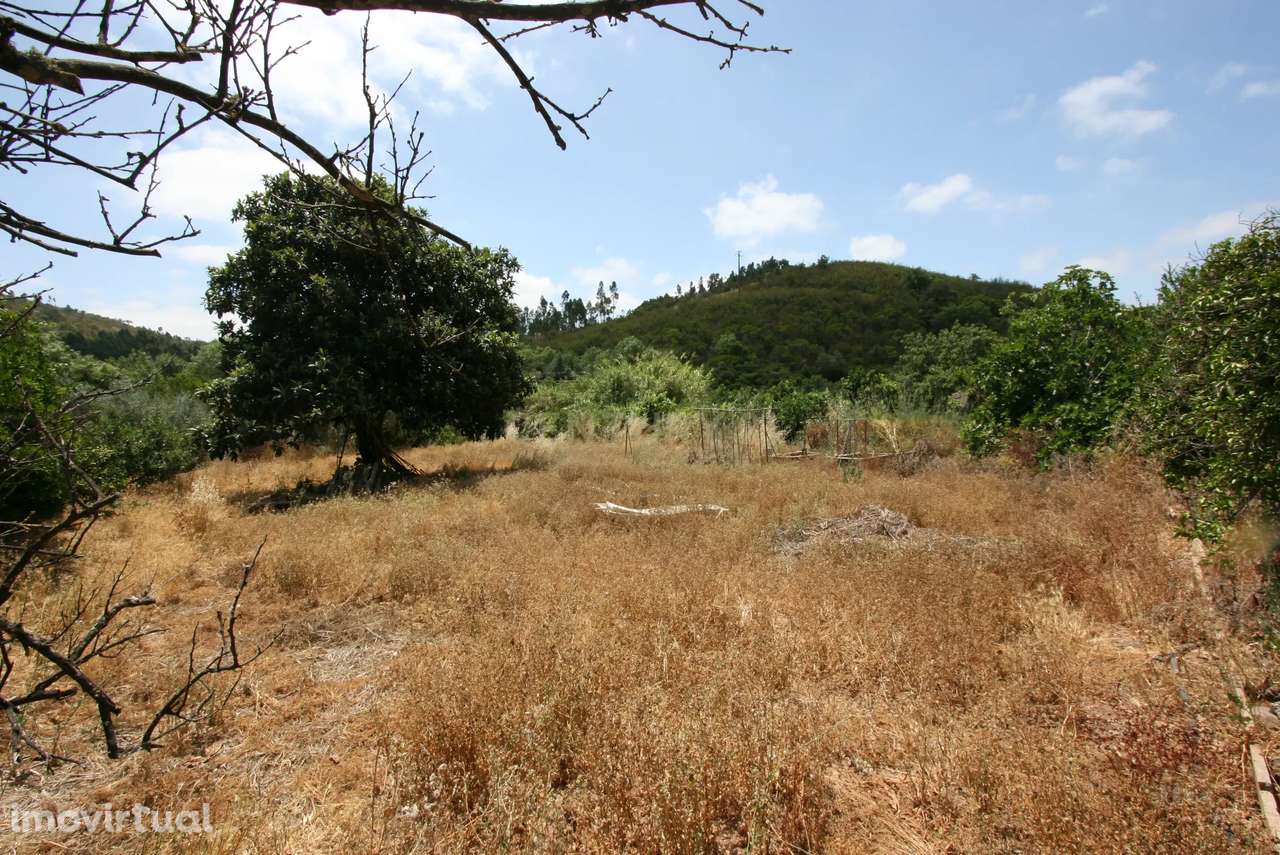Quinta tradicional com moradia, garagem e vários anexos em terreno de - Grande imagem: 3/30