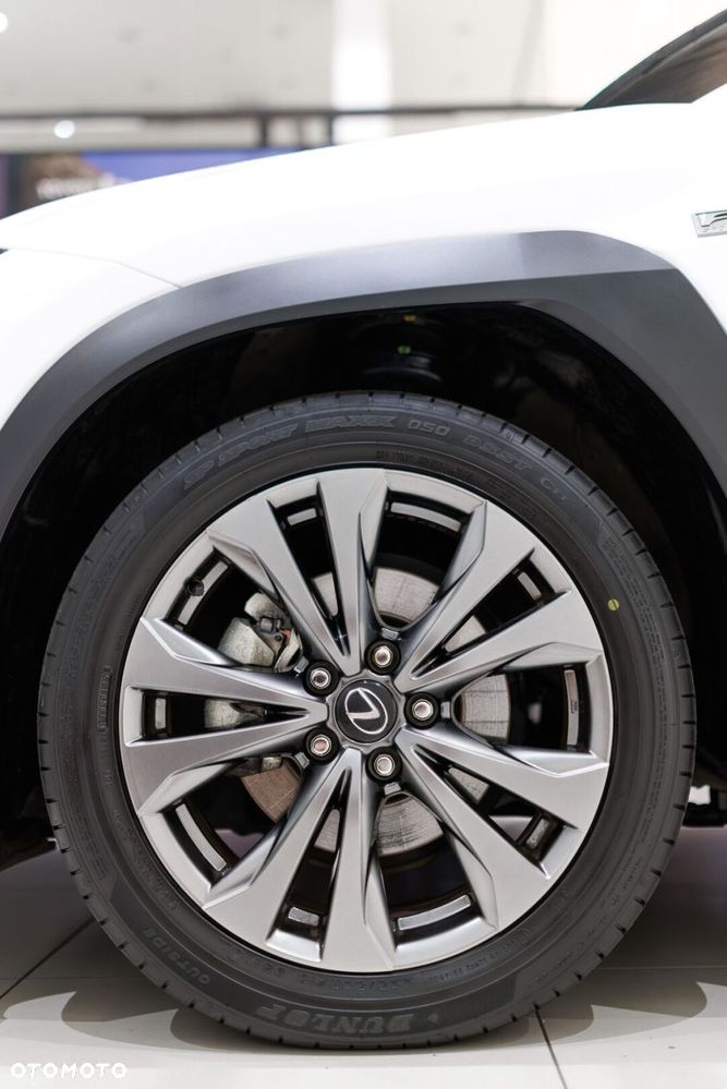 Lexus UX 300h F Sport Design - 13