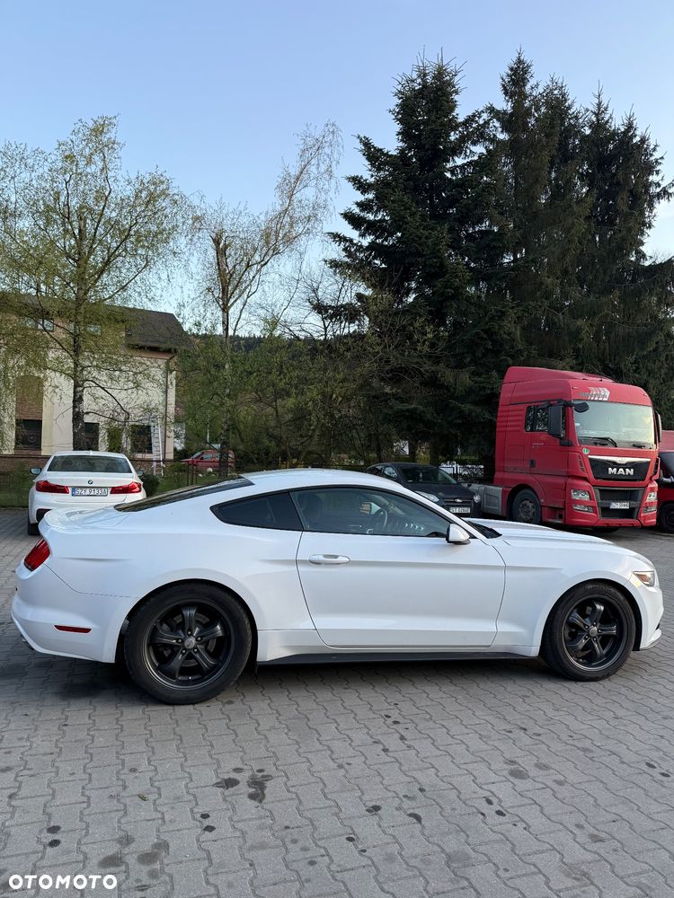 Ford Mustang 3.7 V6 - 5