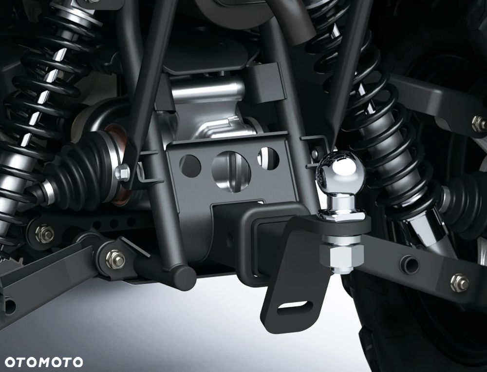 Kawasaki Brute Force - 12