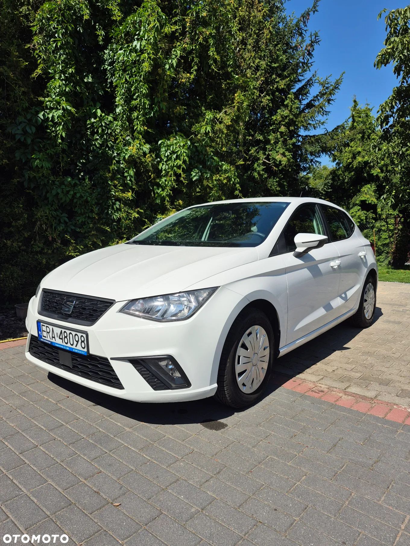 Seat Ibiza 1.6 TDI Reference - 1